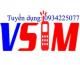 vsim